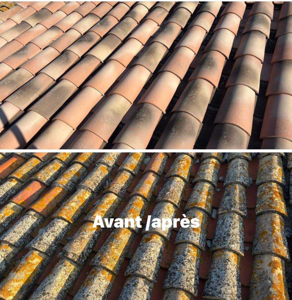 540753790_1301264095126109_4626462444896028393_n