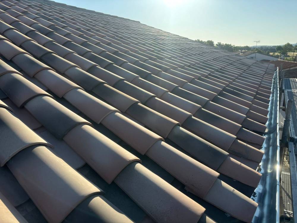 540746244_1301268891792296_3879515177012810917_n