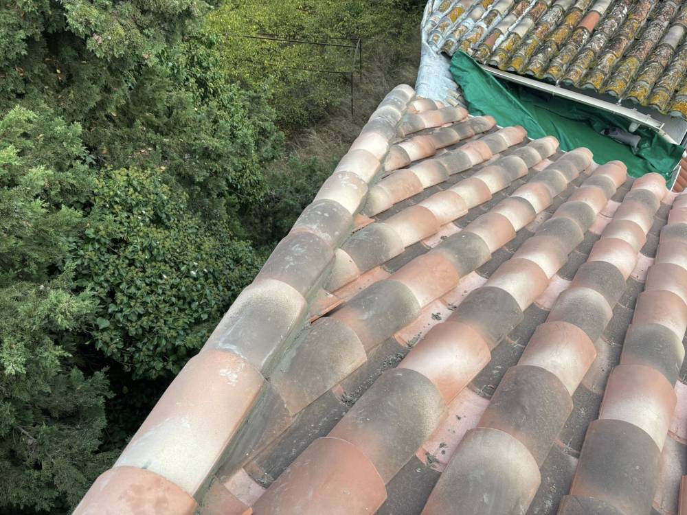 570409403_1347215917197593_8135683854218560994_n