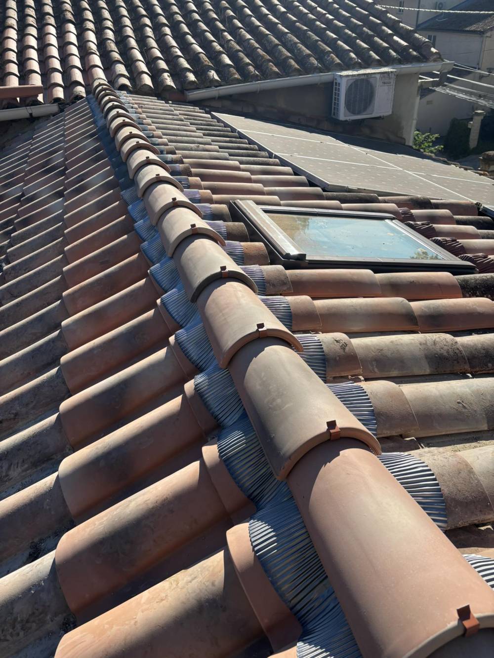 558154552_1335684281684090_1836488977771369137_n