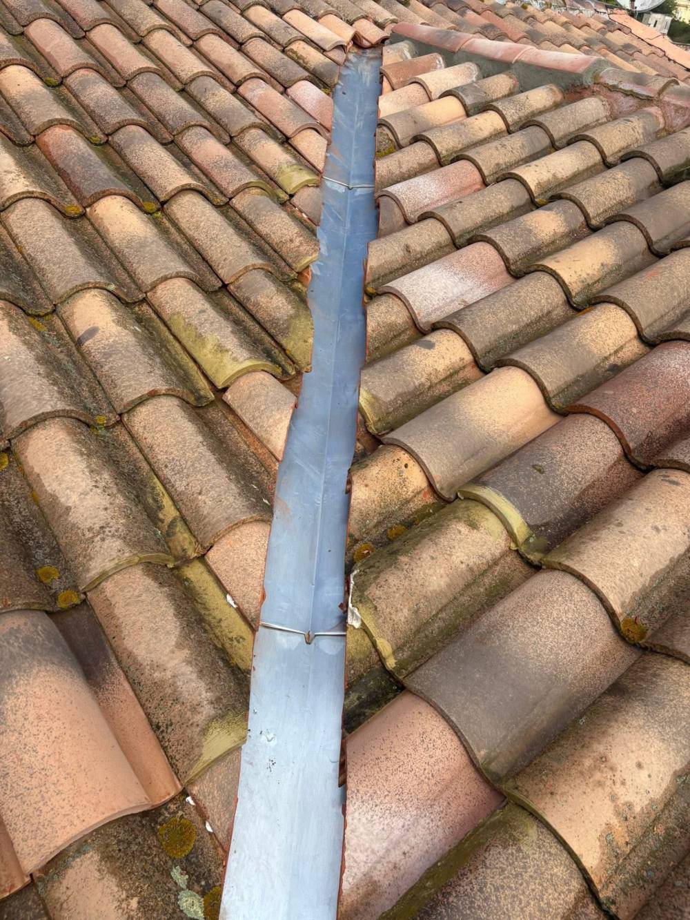 539866865_1301268945125624_6582531156563451436_n