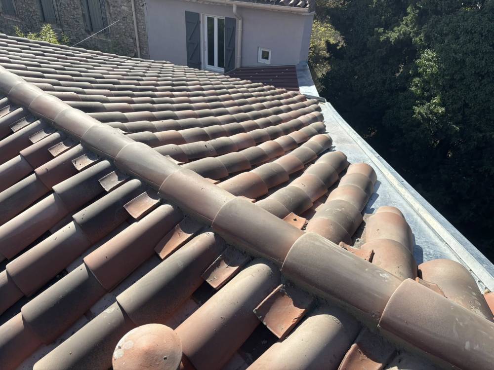 577421865_1360384595880725_3804150488784027080_n (1)